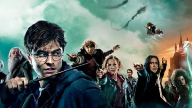 From Book to Screen How Adaptations Like Harry Potter and Lord of the Rings Capture Fans' Hearts